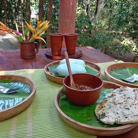 Dambulla Tree House Villa Exterior photo