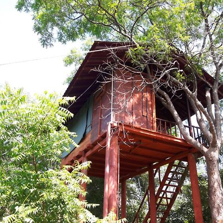 Dambulla Tree House Villa Exterior photo