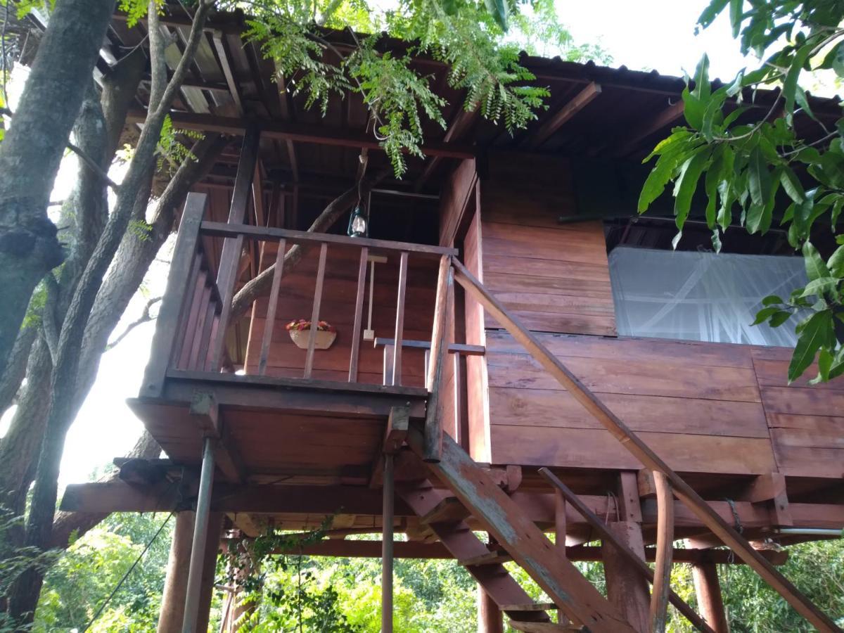 Dambulla Tree House Villa Exterior photo