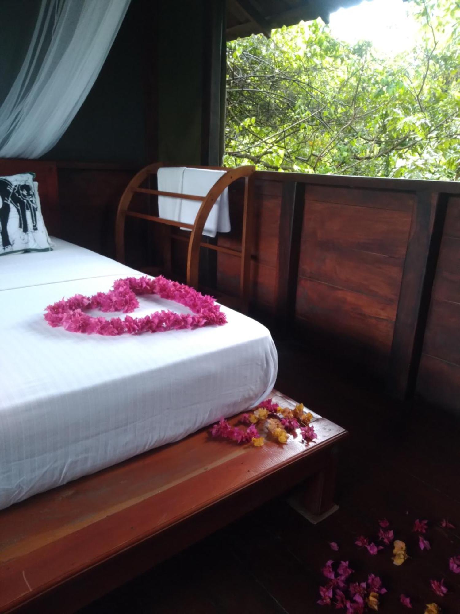 Dambulla Tree House Villa Exterior photo
