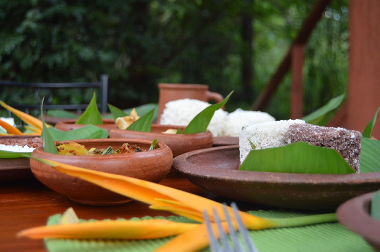 Dambulla Tree House Villa Exterior photo
