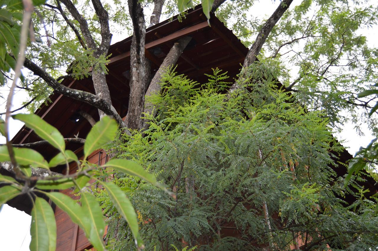 Dambulla Tree House Villa Exterior photo