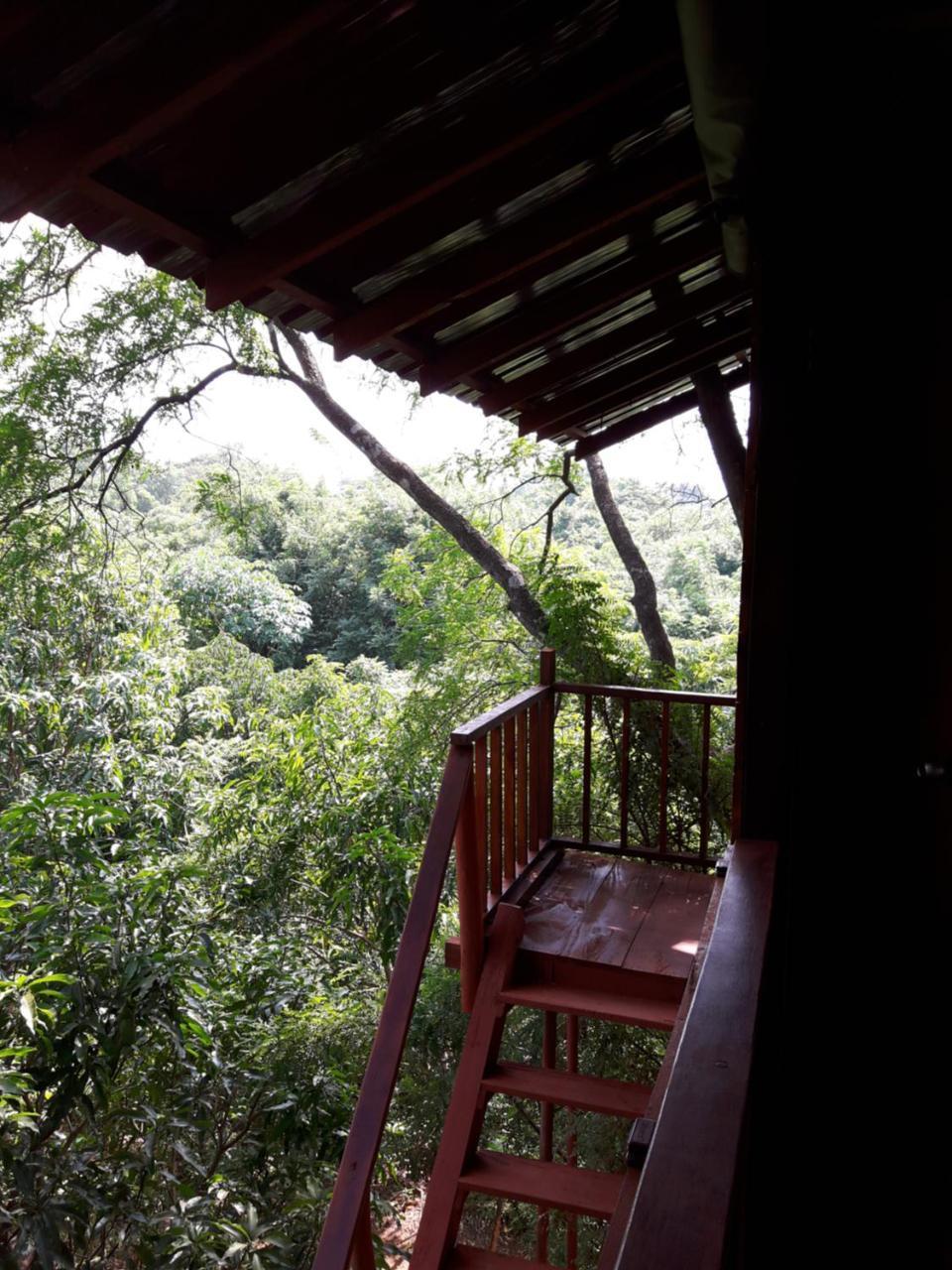 Dambulla Tree House Villa Exterior photo
