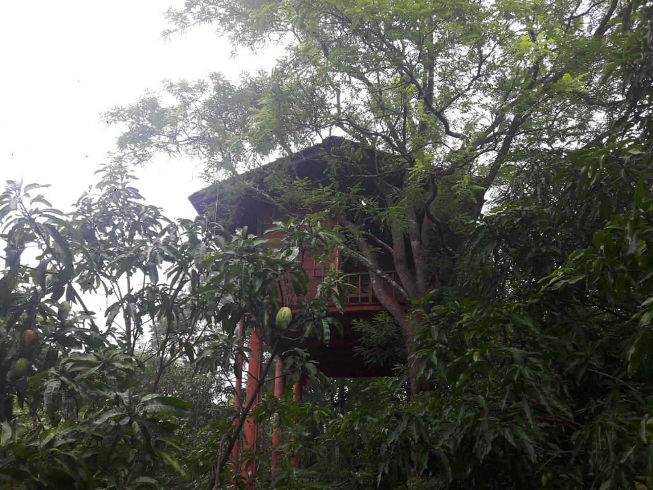 Dambulla Tree House Villa Exterior photo