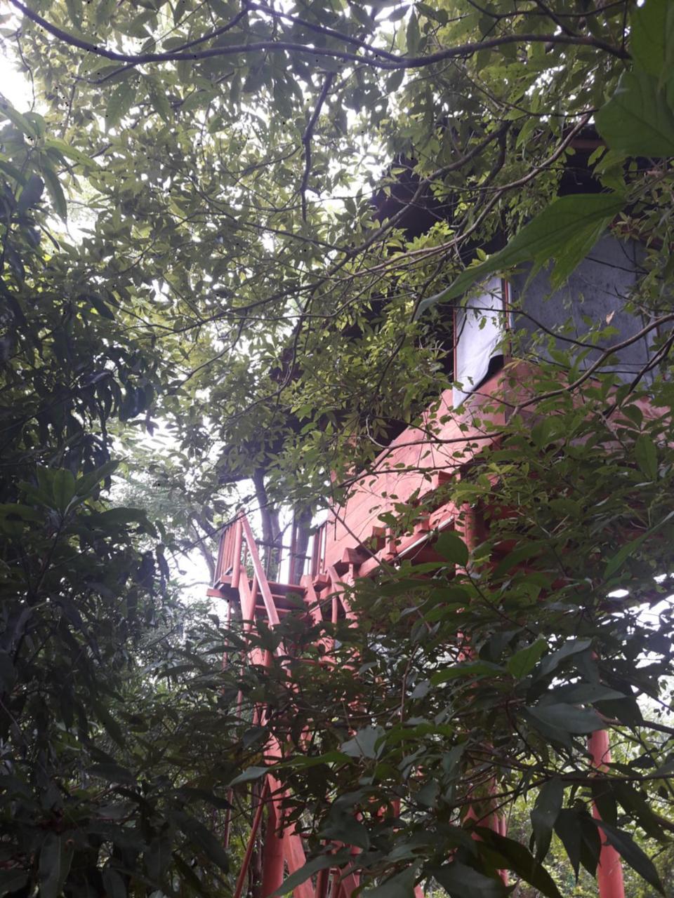 Dambulla Tree House Villa Exterior photo